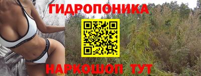 прущие крисы Конаково