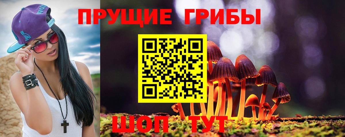 Клинцы  даркнет сайт  Вход с VPN  Галлюциногенные грибы Cubensis 