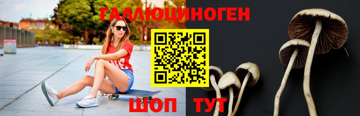 Галлюциногенные грибы Magic Shrooms Клинцы
